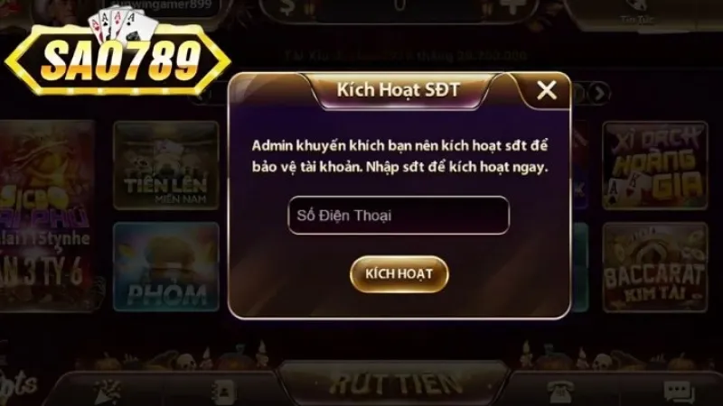 Link Vào Sao789: Truy Cập Nhanh, Không Bị Chặn 2 Giới thiệu về nhà cái sao789